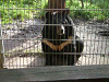 2004_1019_120941AA_thumb.jpg