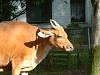 2004_1019_123406AA_thumb.jpg