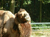 2004_1019_124538AA_thumb.jpg