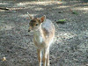 2004_1019_125416AA_thumb.jpg