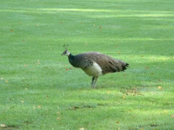 2004_1019_124410AA.jpg
