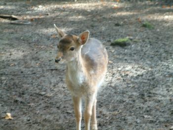 2004_1019_125416AA.jpg