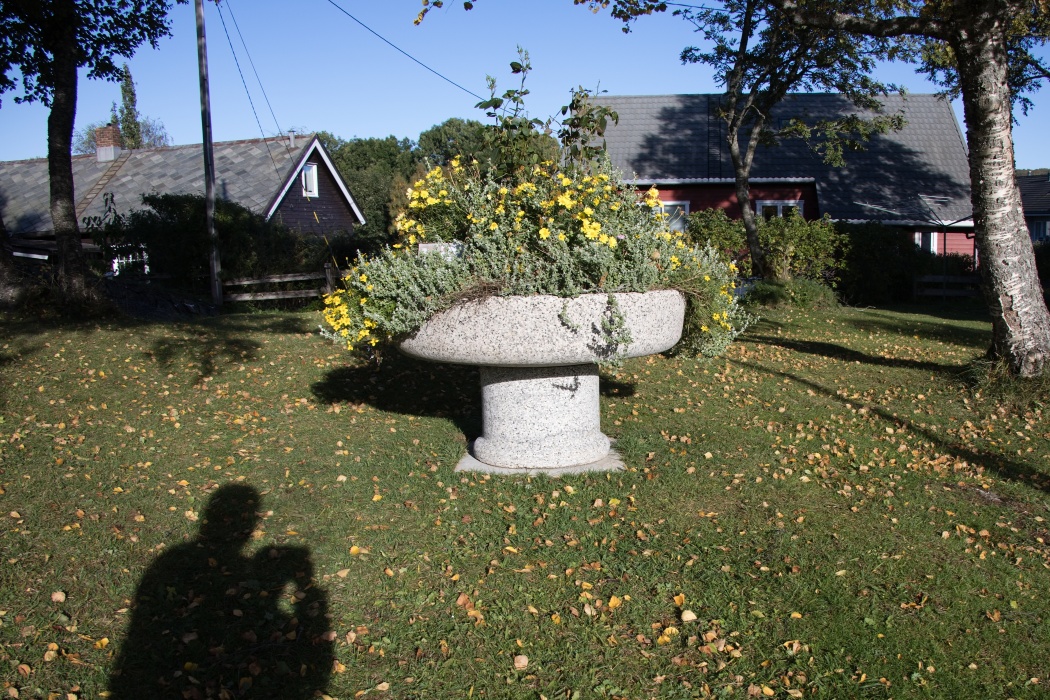 当時使われていた井戸