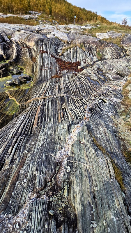 氷河の底にある岩片が削った跡