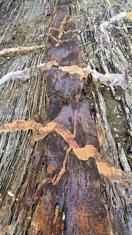 真ん中の赤い帯は岩盤が圧縮・引張を受けると割れ目が生じ、鉄を多く含地下水や熱水が流れ込んで岩を酸化・変色させた痕跡。
