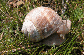 2006_0328_093922AA.gif