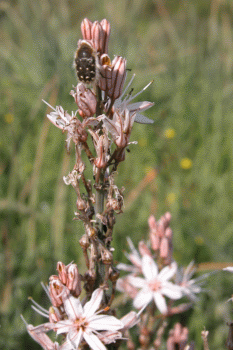 2006_0328_095322AA.gif